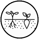 02 - Diversidad de Cultivos Icon
