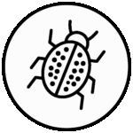 05 - Biodiversidad Icon